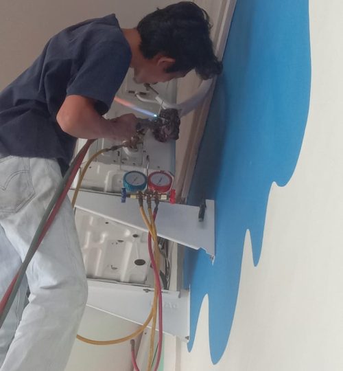 WhatsApp Image 2025-02-23 at 12.00.22_9143d9a1