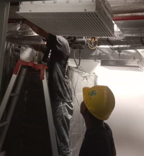 WhatsApp Image 2025-02-23 at 12.00.26_72571020