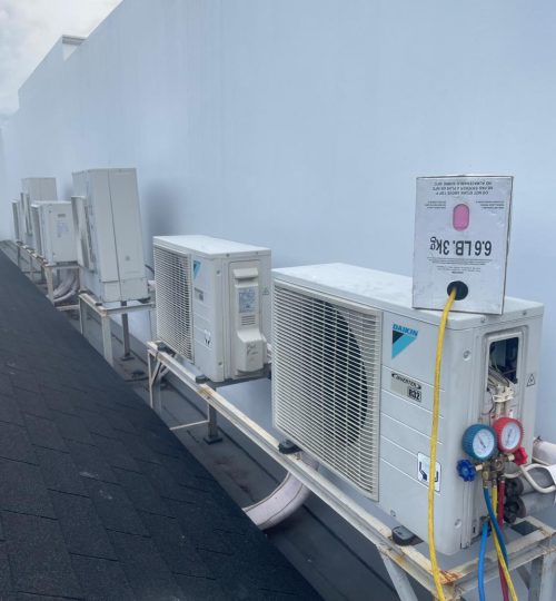 WhatsApp Image 2026-03-09 at 4.00.42 PM