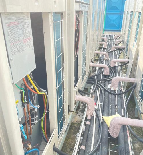 WhatsApp Image 2026-03-09 at 4.11.36 PM